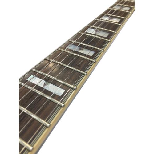 EPIPHONE (エピフォン) エレキギター Sheraton Ⅱ