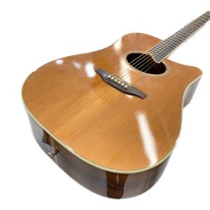 Washburn (ワッシュバーン) エレアコギター 日本製 DC-60