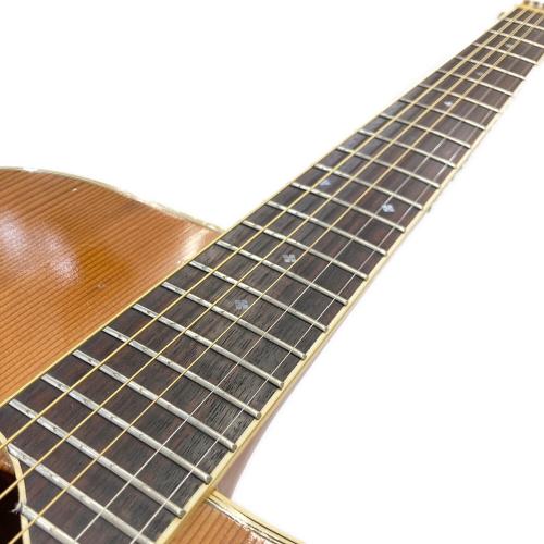 Washburn (ワッシュバーン) エレアコギター 日本製 DC-60