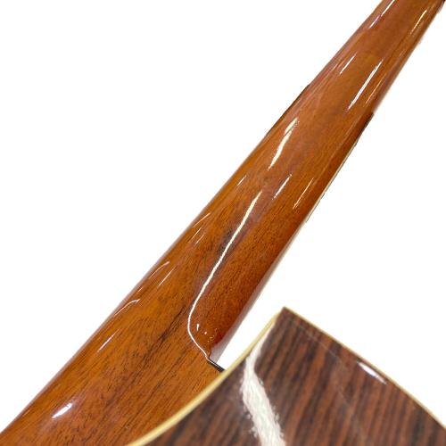 Washburn (ワッシュバーン) エレアコギター 日本製 DC-60