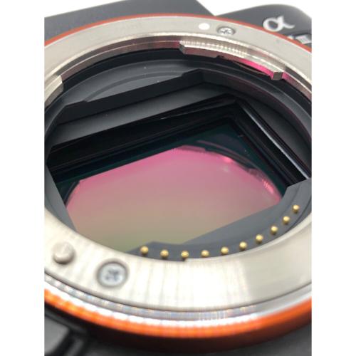 SONY ミラーレスデジタル一眼カメラ α7 III ボディのみ