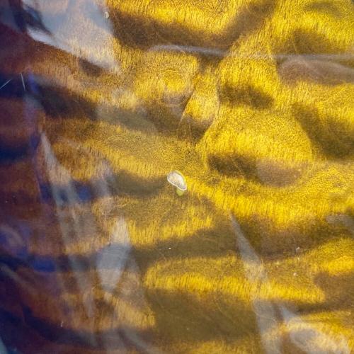 SCHECTER (シェクター) エレキギター GS-1-FR ブリッジコマ錆び付 アースノイズ落ちて無い