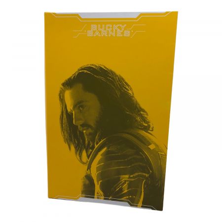 Hot toys (ホットトイズ) フィギュア アクションフィギュア
