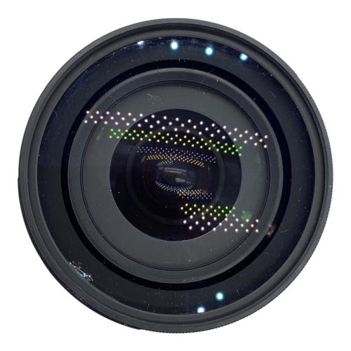 Nikon (ニコン) カメラレンズ DX AF-S NIKKOR