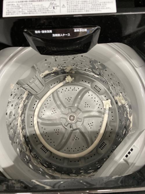 ニトリ 全自動洗濯機 393 6.0kg NTR60 BKN 2023年製 クリーニング済 50Hz／60Hz