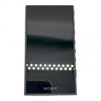 SONY (ソニー) WALKMAN NW-A105