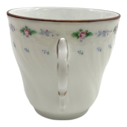 RICHARD GINORI (リチャードジノリ) カップ&ソーサー ベッキオ