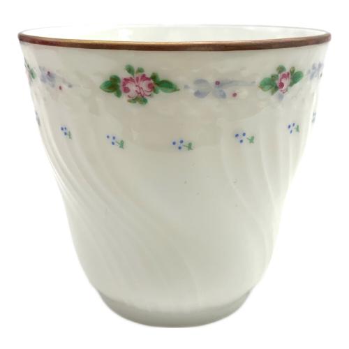 RICHARD GINORI (リチャードジノリ) カップ&ソーサー ベッキオカプリ