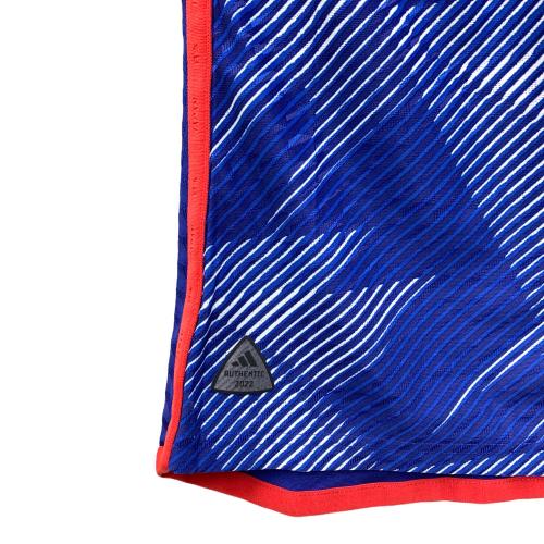 adidas (アディダス) レプリカユニフォーム レディース SIZE L ブルー サッカー日本女子代表 2022 HS9772 MKD23