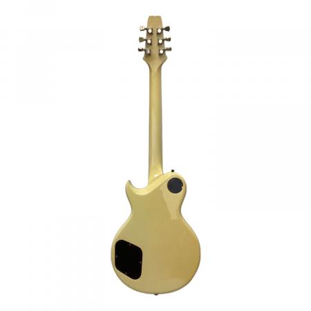 Aria Pro 2 (アリアプロ2) エレキギター 4.3kg レスポールタイプ PE