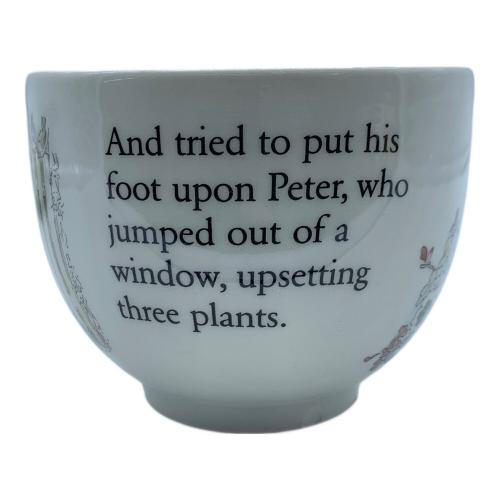 Wedgwood (ウェッジウッド) カップ&ソーサー 旧印字 ピーターラビット