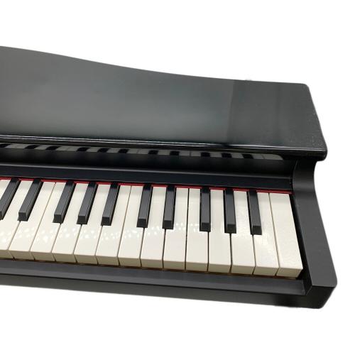 KORG (コルグ) 電子ピアノ microPIANO