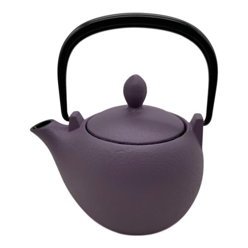 IWACHU (イワチュウ) 急須