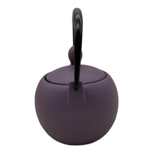 IWACHU (イワチュウ) 急須