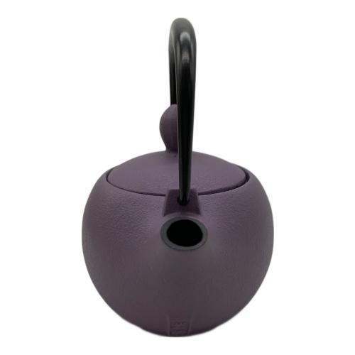 IWACHU (イワチュウ) 急須