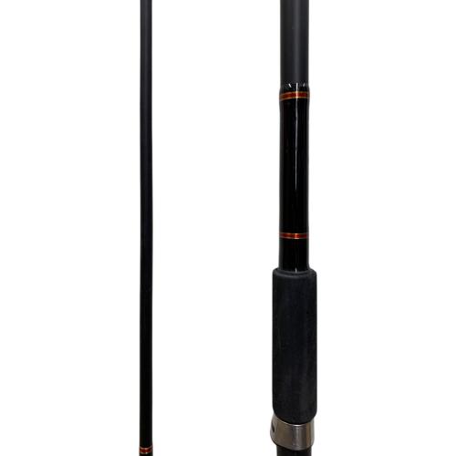 DAIWA (ダイワ) ロッド(釣竿) BEEF STICk