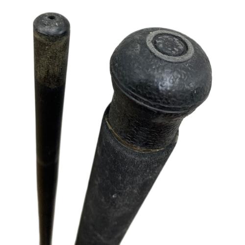 DAIWA (ダイワ) ロッド(釣竿) BEEF STICk