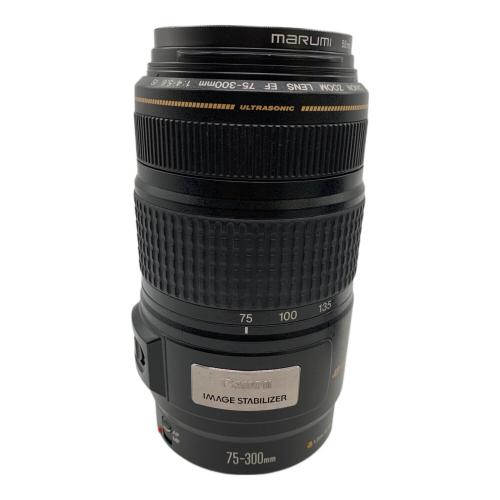 CANON (キヤノン) 一眼レフカメラ EOS KISS digital X Canon EF75-300mm F4-5.6 IS USM付