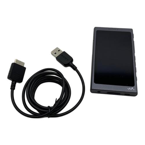 SONY (ソニー) WALKMAN NW-A35 画面キズ有 充電ケーブル付