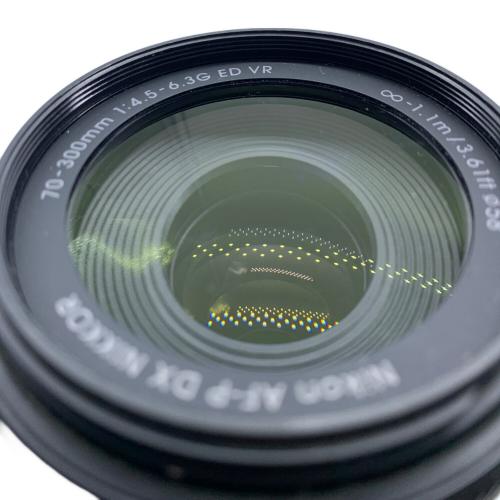 Nikon (ニコン) デジタル一眼レフカメラ D5300