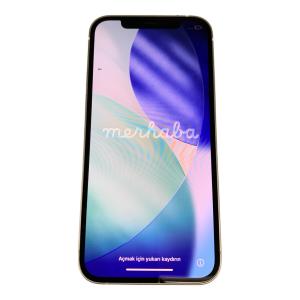 Apple (アップル) iPhone12 MGHV3J/A ※液晶不良有