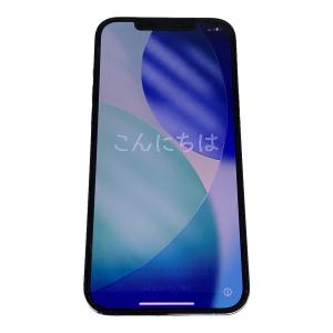 Apple (アップル) iPhone12 Pro Max