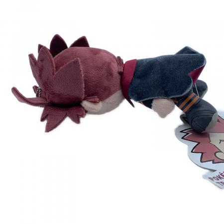 ポケモン トレーナー ぬいぐるみ ワタル デンジ 2点セット ポケモン トレーナー ぬいぐるみ ワタル デンジ 2点セット Pokemon