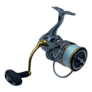 DAIWA (ダイワ) リール LT4000D-C