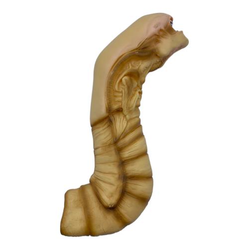 ツクダホビー CHEST BURSTER 1/1スケール フィギュア