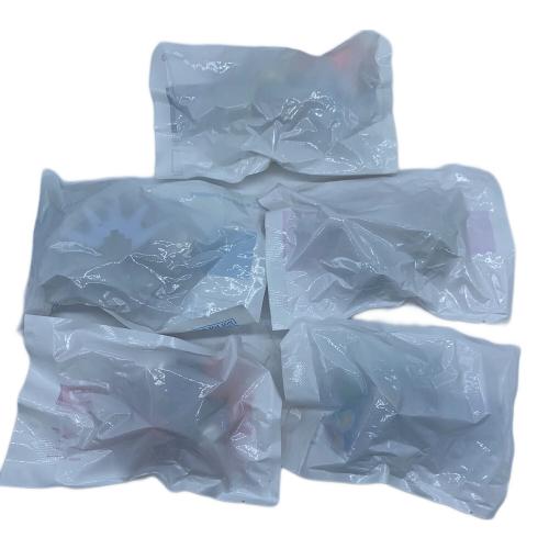 フィギュア ポケットモンスター 予約特典 フィギュア5点セット