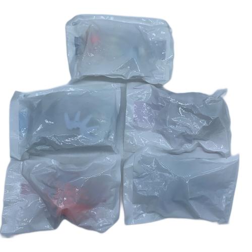 フィギュア ポケットモンスター 予約特典 フィギュア5点セット