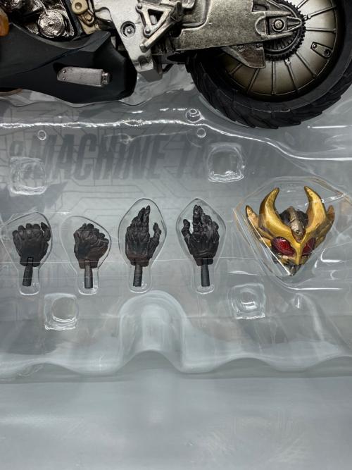 BANDAI (バンダイ) フィギュア S.I.C. vol.40 仮面ライダーアギト＆マシントルネイダー