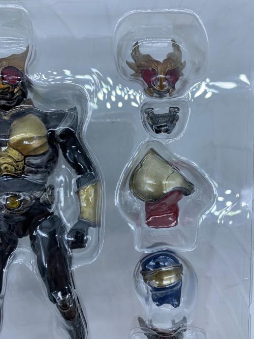 BANDAI (バンダイ) フィギュア  S.I.C. VOL.19 仮面ライダーアギト