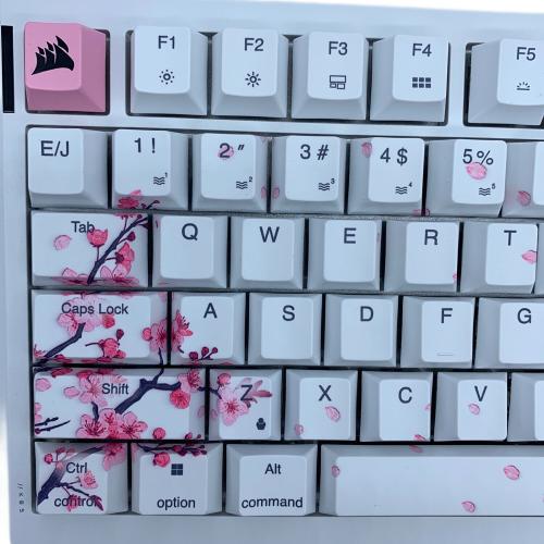 CORSAIR (コルセア) -Cherry blossom- キーボード K65 PLUS