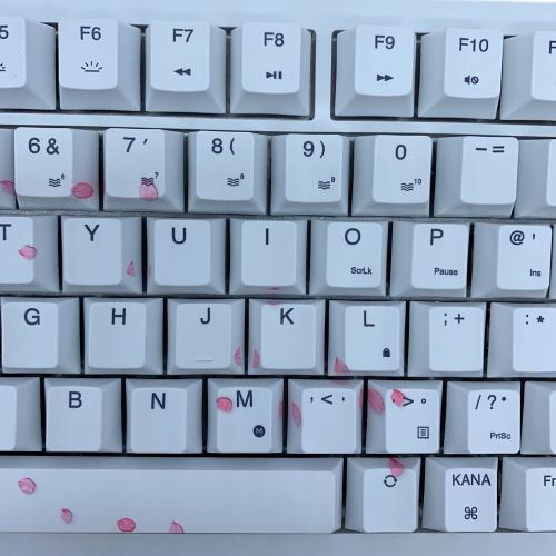CORSAIR (コルセア) -Cherry blossom- キーボード K65 PLUS