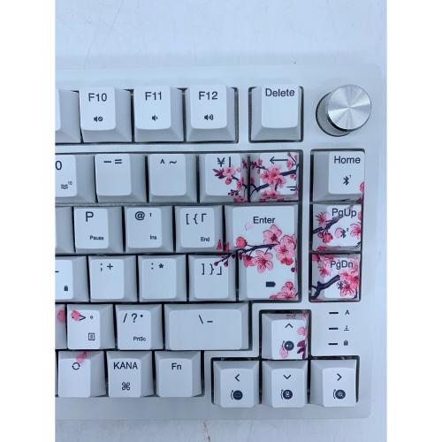 CORSAIR (コルセア) -Cherry blossom- キーボード K65 PLUS