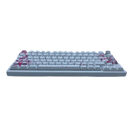 CORSAIR (コルセア) -Cherry blossom- キーボード K65 PLUS