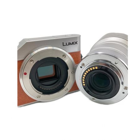 Panasonic (パナソニック) ミラーレス一眼カメラ LUMIX DC-GF10WA 1684万画素(総画素) マイクロフォーサーズ  WF1KA001241