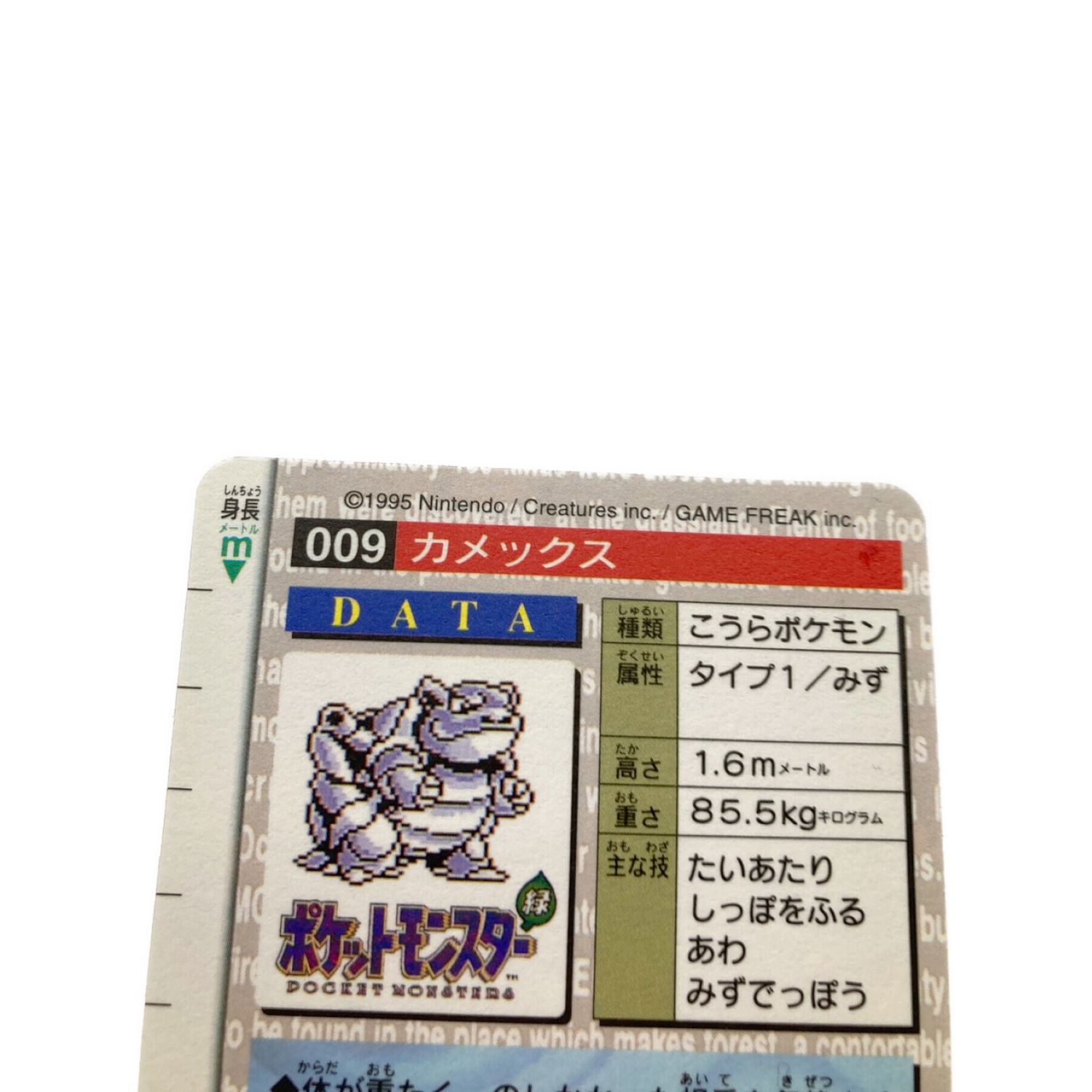 ポケモンカード カメックス 009 当時物 カードダス｜トレファクONLINE