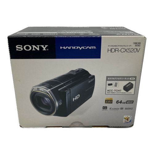 SONY (ソニー) デジタルビデオカメラ HDR-CX520V 57917