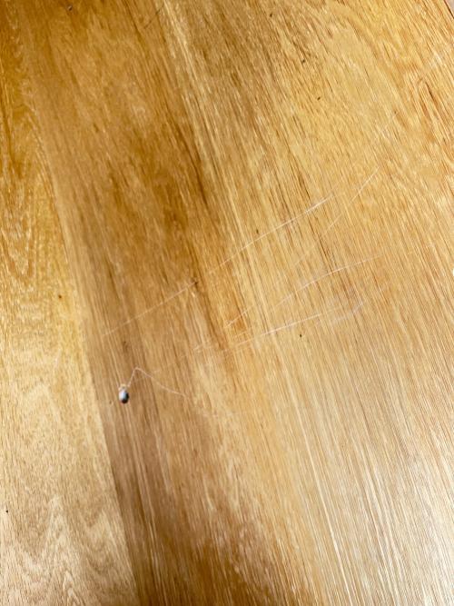 無印良品 (ムジルシリョウヒン) テレビボード ブラウン 253