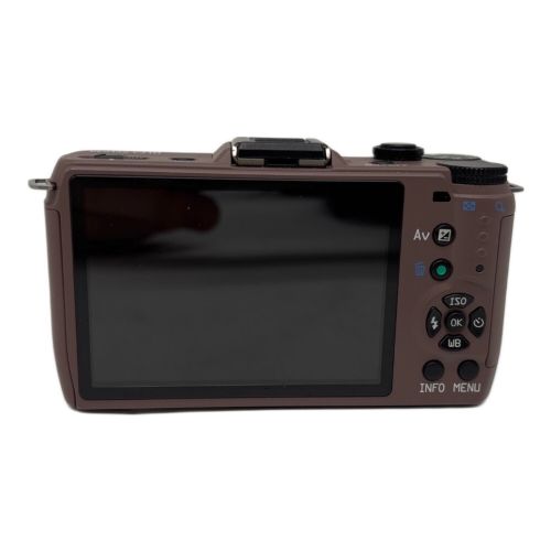 PENTAX (ペンタックス) ミラーレス一眼カメラ Q10 4636024