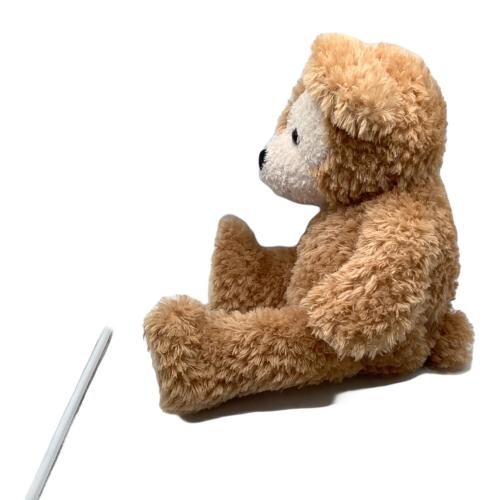 Disney(TOKYO Disney SEA) (ディズニー トーキョーディズニーシー) ダッフィー