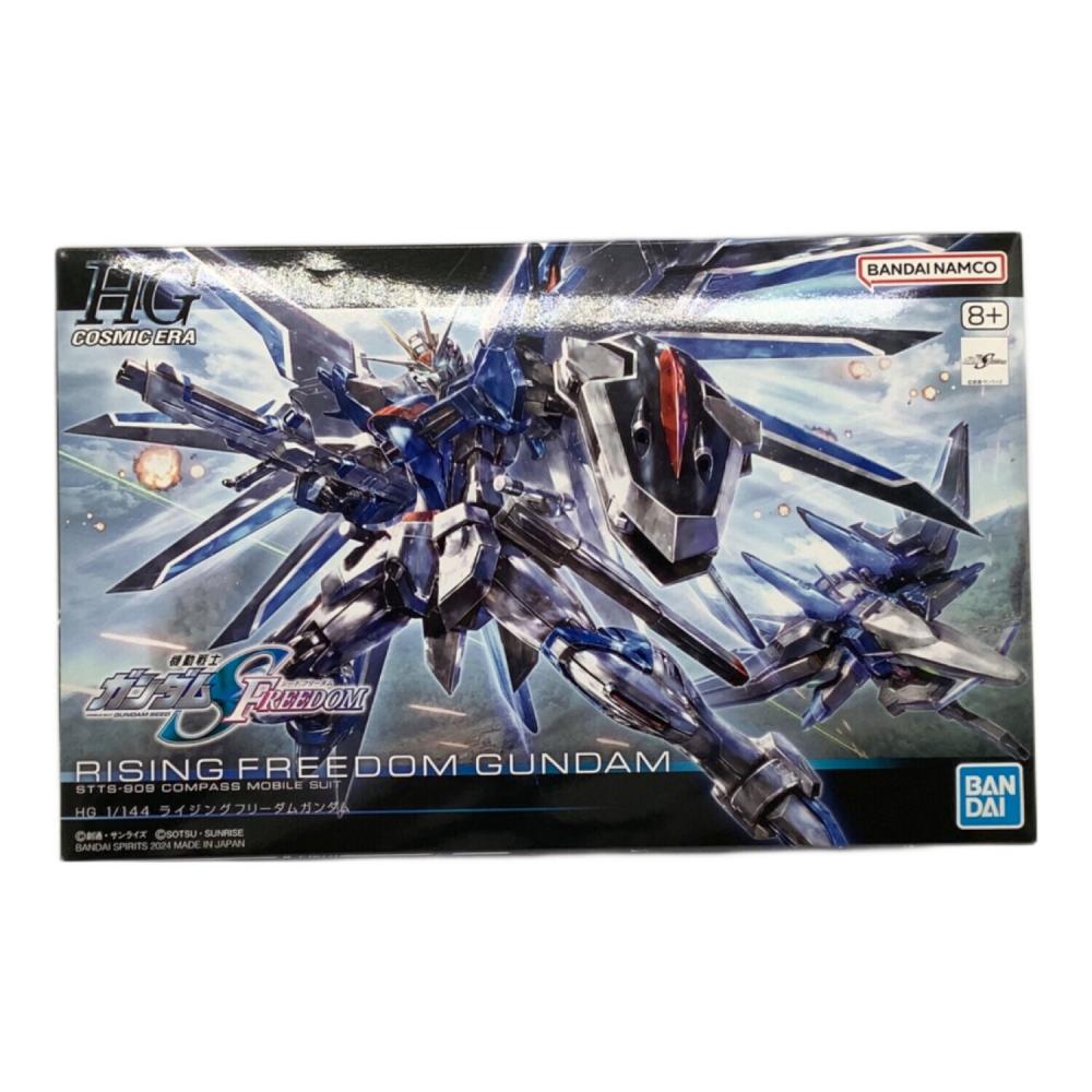 注意　【りょうさま専用価格】1/100＆HG　ガンプラ 12点 BANDAI (バンダイ) ガンプラ 1/144 HG ライジングフリーダムガンダム