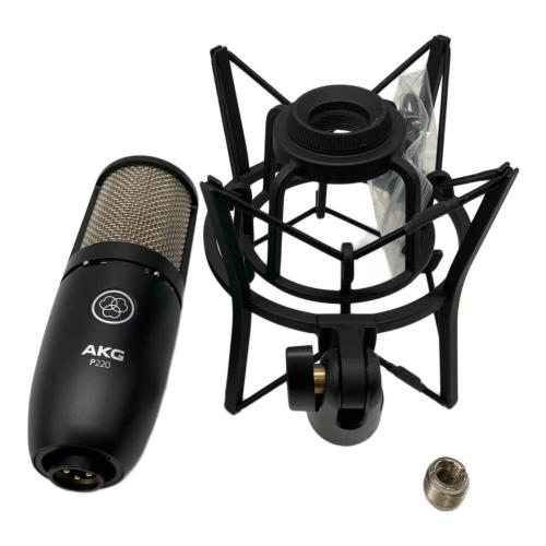 AKG (アーカーゲー) コンデンサーマイク P220
