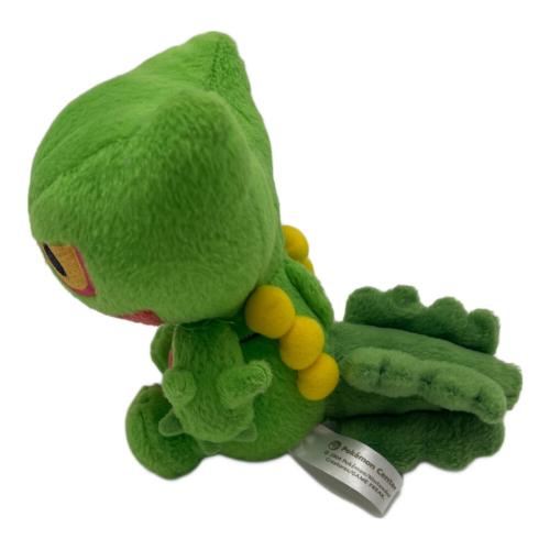 Pokemon Center (ポケモンセンター) ヌイグルミ 2004年 @ ジュカイン ポケドール