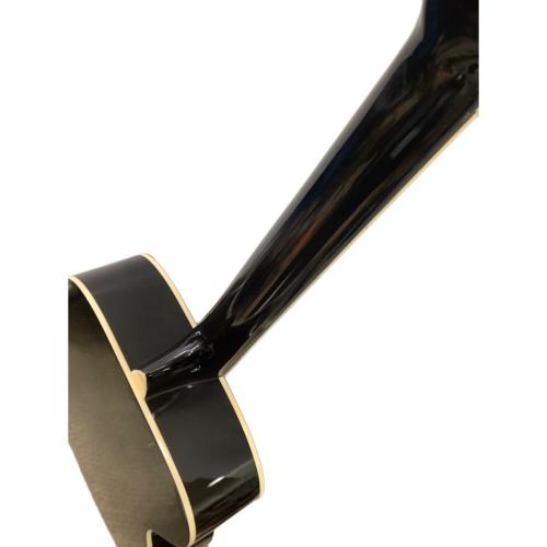 PlayTech (プレイテック) アコースティックギター zs18n 順反り有