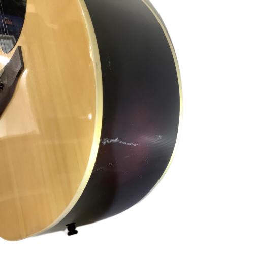 PlayTech (プレイテック) アコースティックギター zs18n 順反り有