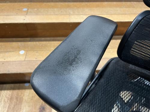 Ergohuman (エルゴヒューマン) ワークチェアー 14 ブラック PRO