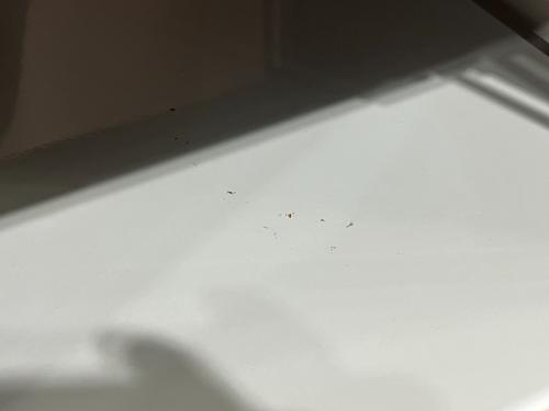 無印良品 (ムジルシリョウヒン) キッチンワゴン 下段欠品 ホワイト ステンレスユニットシェルフワゴン